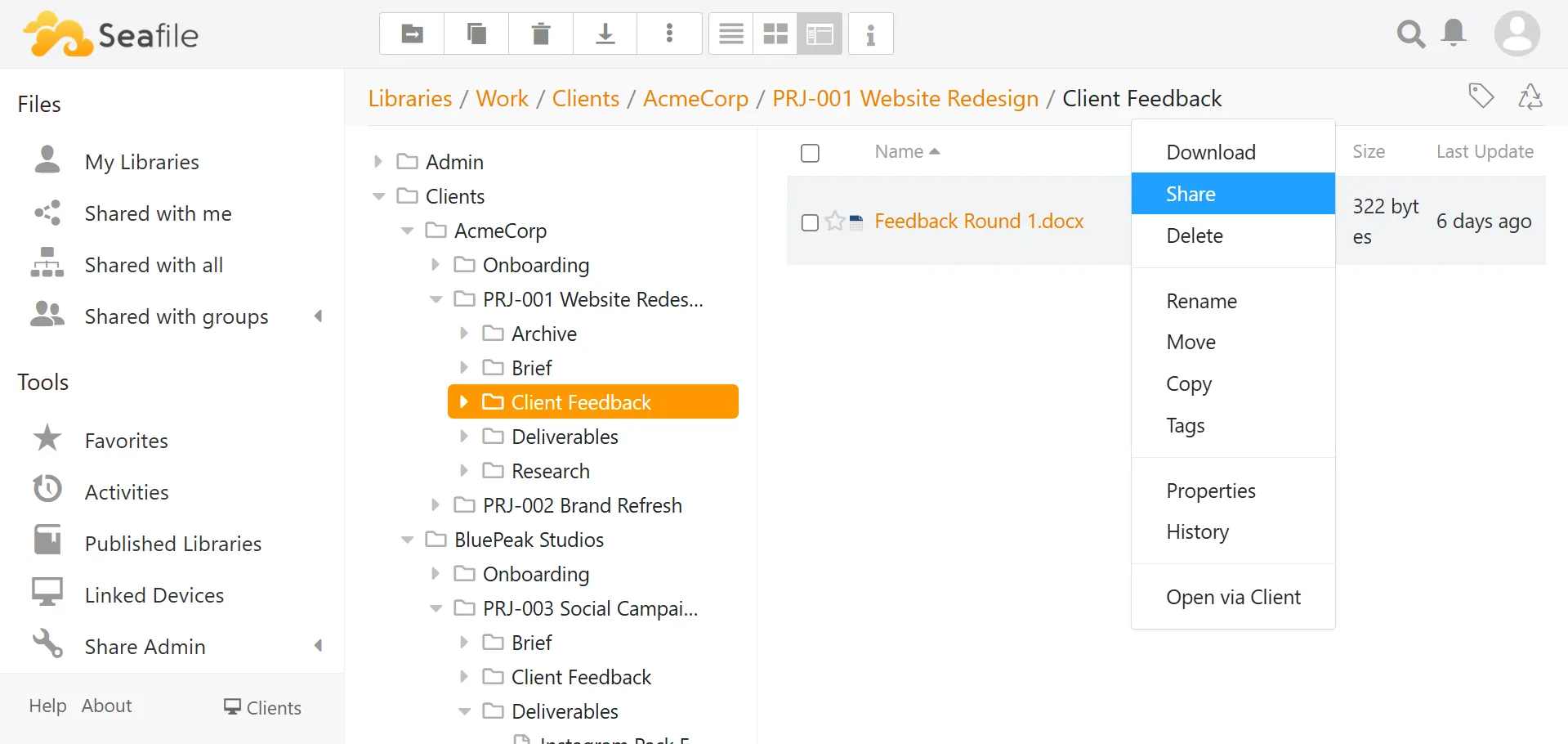 Seafile file browser with the share action selected for a document in a private team workspace.